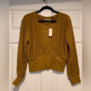 NWT Anthropologie Crop Wrap top